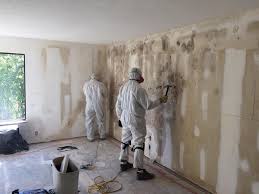 Mold Odor Removal Services in Monterey, CA